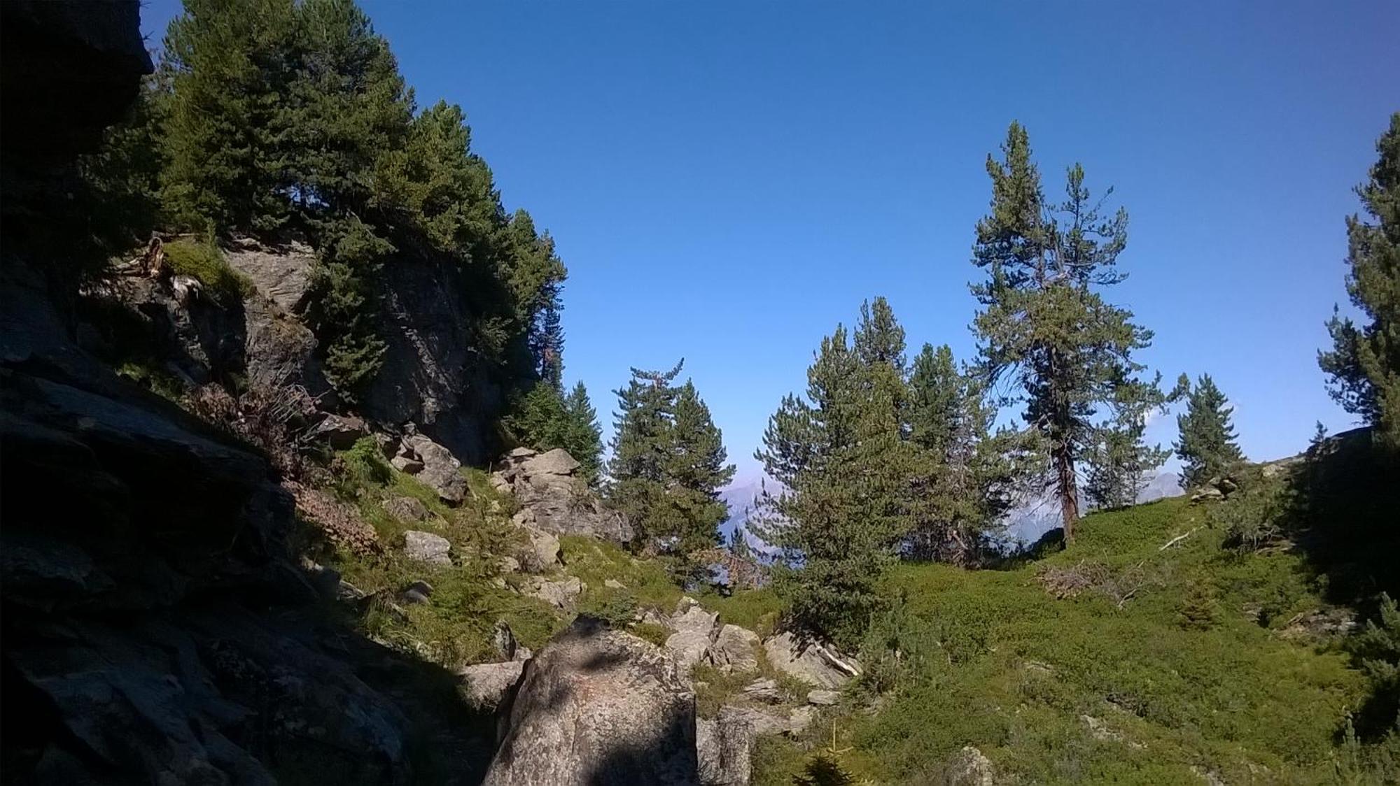 Ferienwohnung Hannes Steirer Neustift im Stubaital Kültér fotó